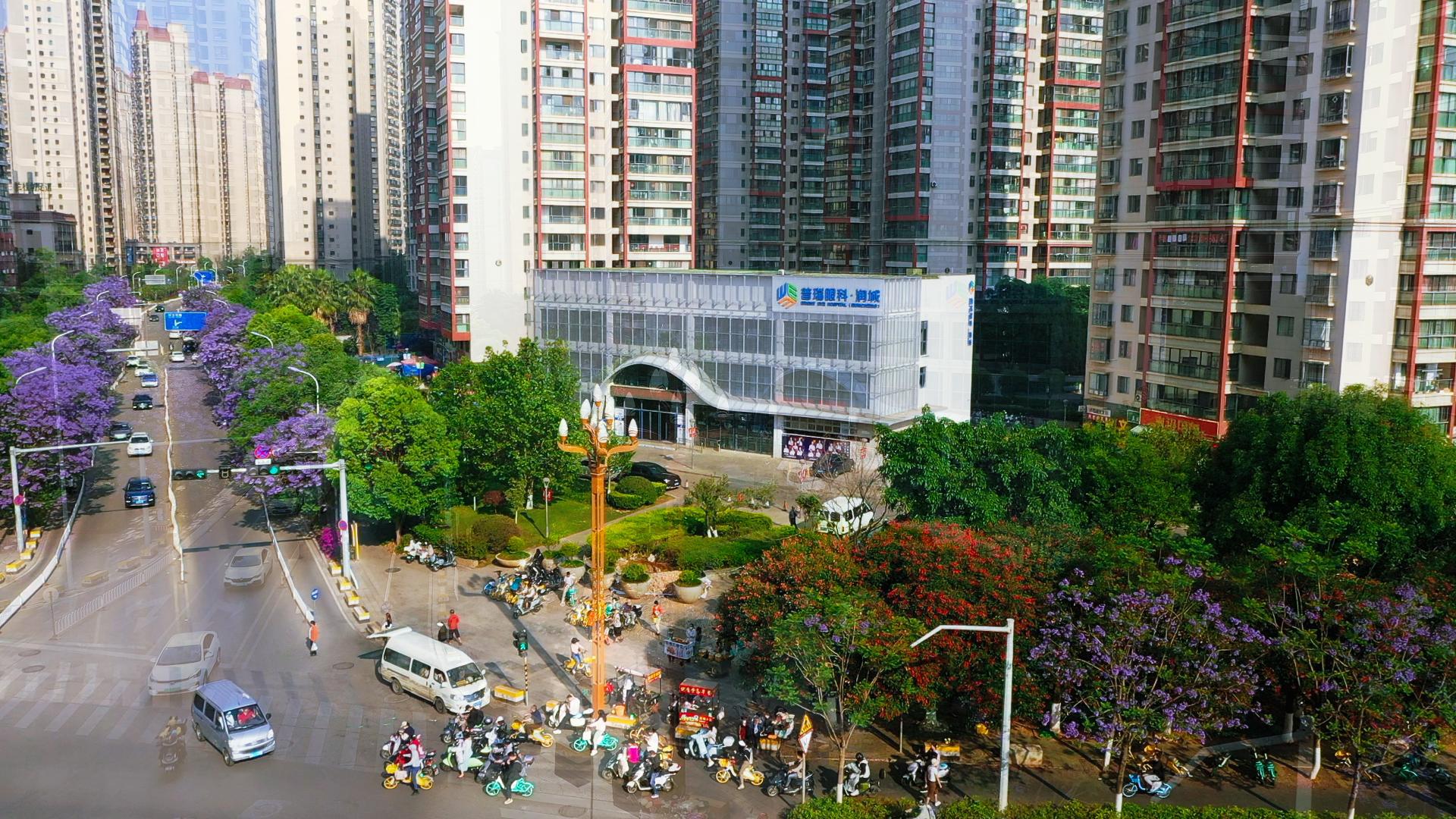 近视手术相关图片